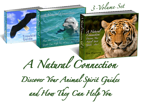 Totem Animals - Spirit Guides Package Button