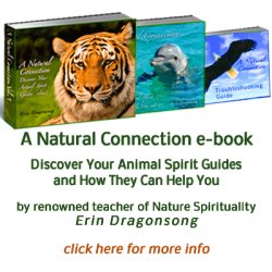 Animal Spirit Guides 3-Volume Set