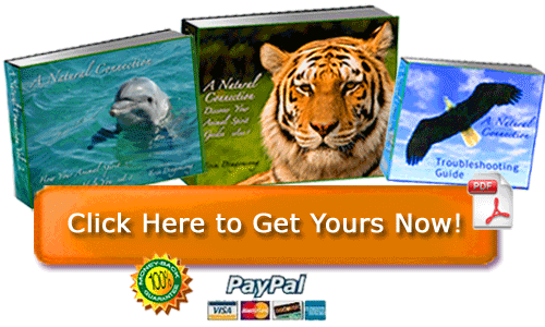 Totem Animals - Spirit Guides Package Button