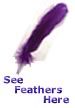 wicca-ritual-tools-feather