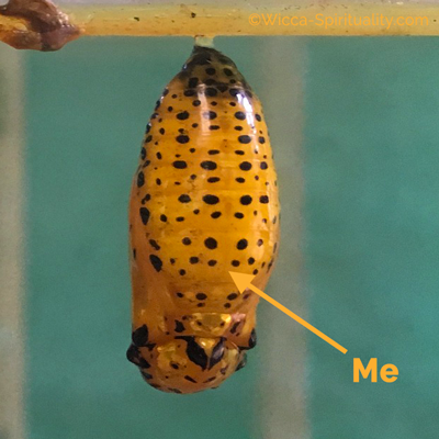  Butterfly Chrysalis: This is me  © Wicca-Spirituality.com