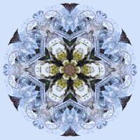 wicca-spirituality Ice Crystals Mandala