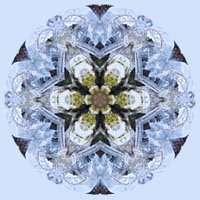 wicca-spirituality Ice Crystals Mandala