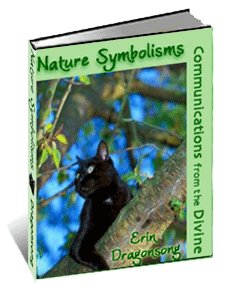 Totem Animals: Nature Symbolisms ebook