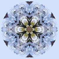 wicca-spirituality Ice Crystals Mandala