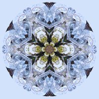 wicca-spirituality Ice Crystals Mandala